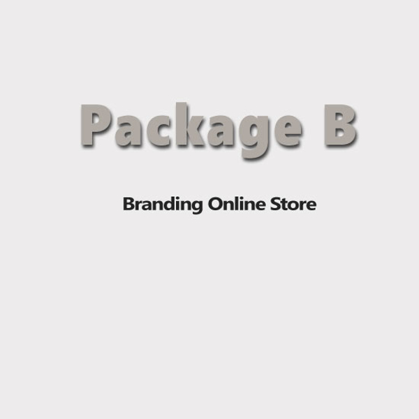 Picture of E-commerce Website-Professional Edition-Package B